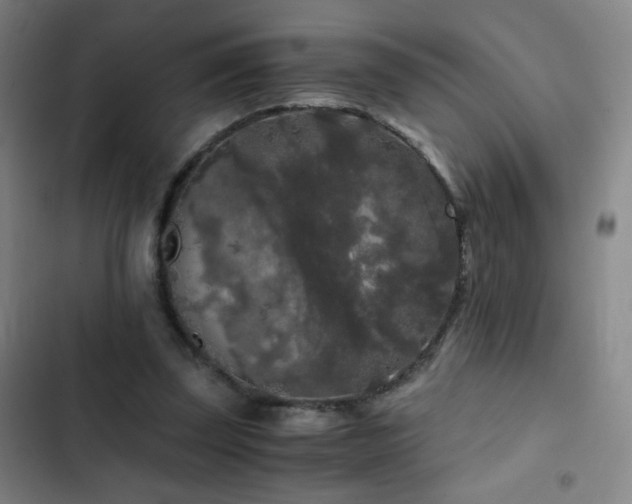 X0000103310347200808291434
