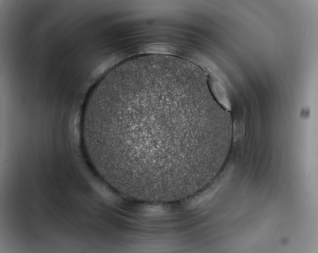 X0000103310349200808291434