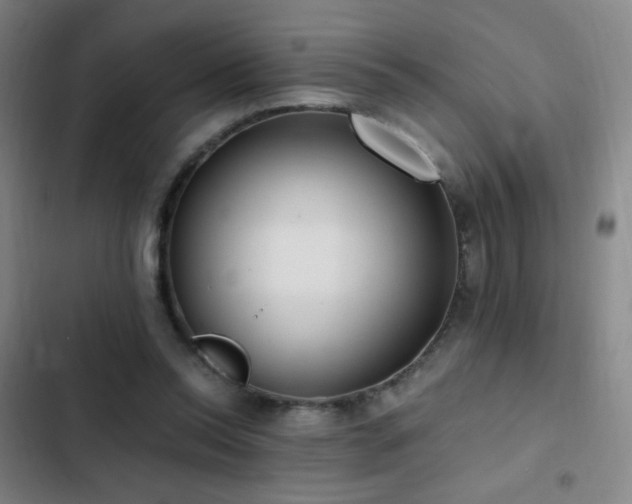X0000103310350200808291434