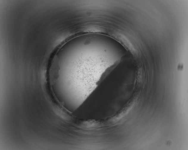X0000103310351200808291434