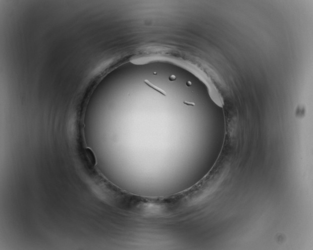 X0000103310352200808291434