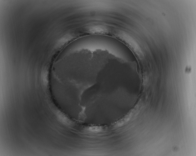 X0000103310353200808291434