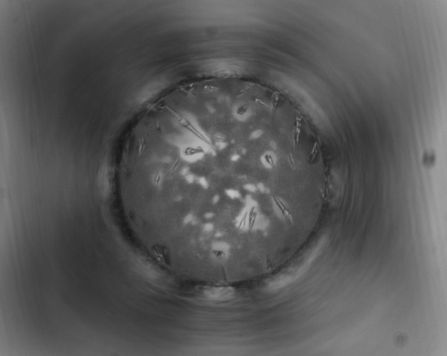 X0000103310355200808291434