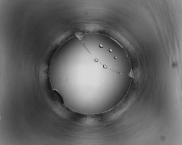 X0000103310356200808291434