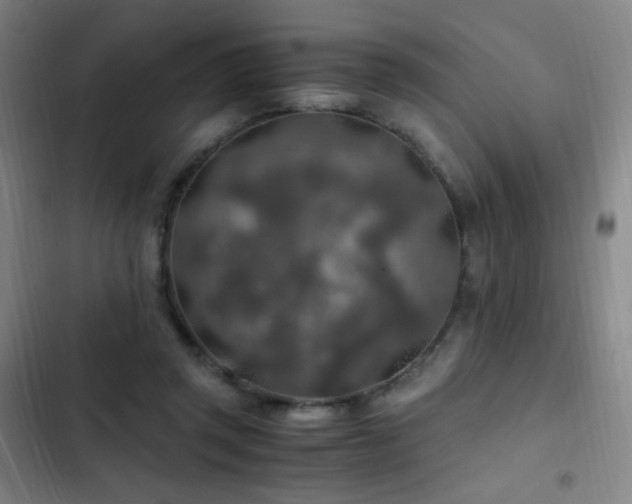X0000103310357200808291434