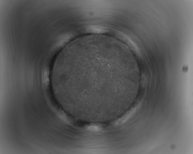 X0000103310358200808291434