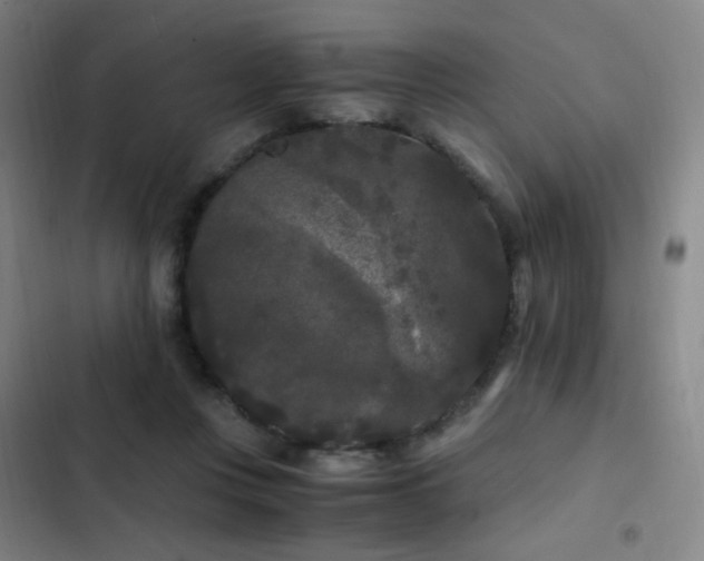 X0000103310359200808291434