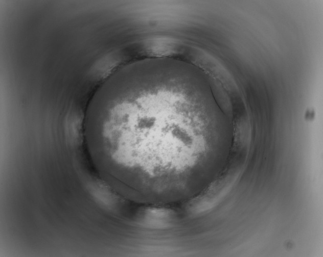 X0000103310360200808291434