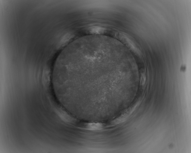 X0000103310363200808291434