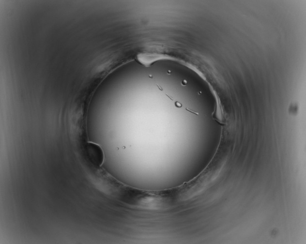 X0000103310364200808291434