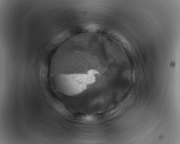 X0000103310365200808291434