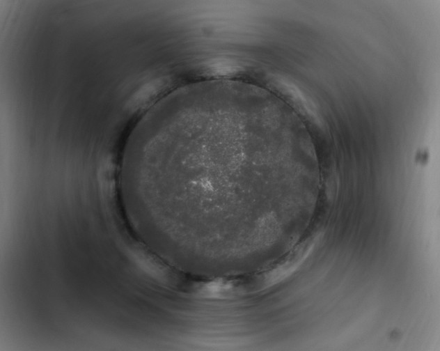 X0000103310366200808291434