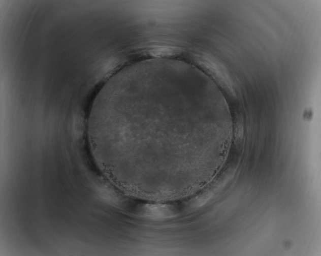X0000103310367200808291434