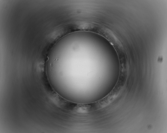 X0000103310368200808291434