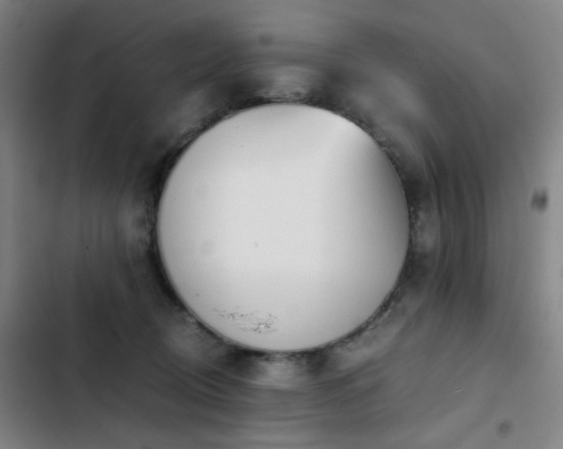 X0000103310370200808291434