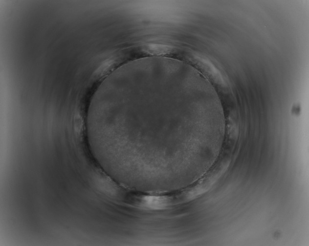 X0000103310371200808291434