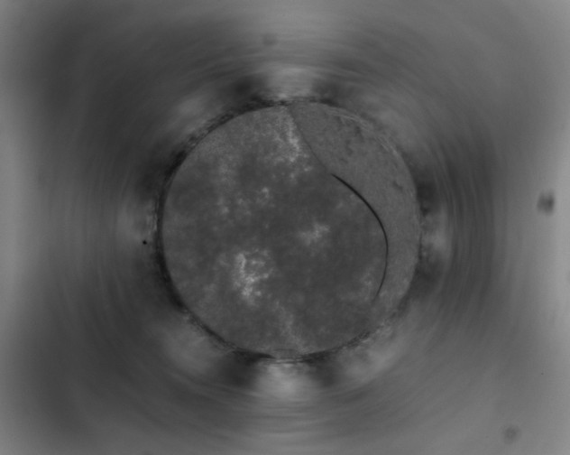 X0000103310372200808291434