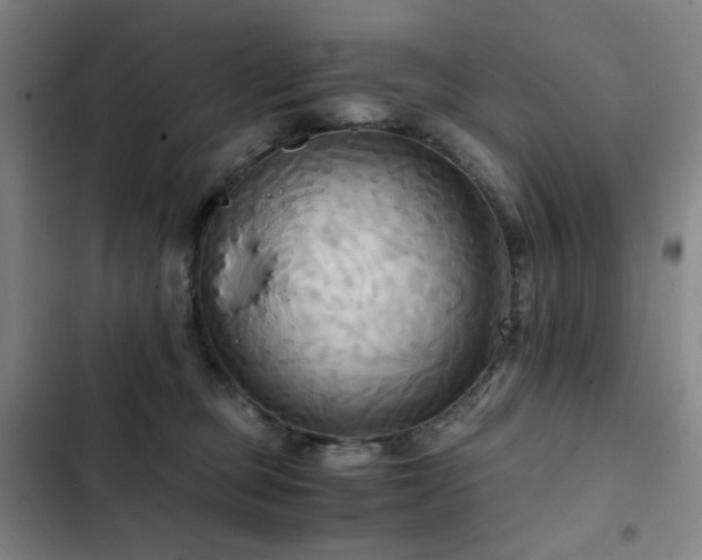 X0000103310373200808291434