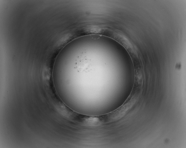 X0000103310374200808291434