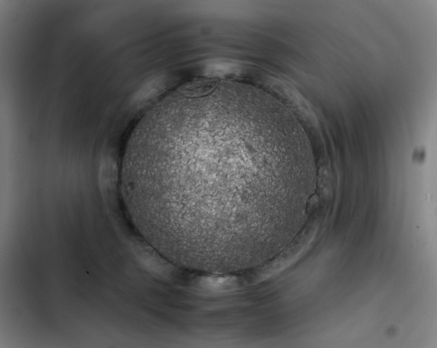 X0000103310375200808291434