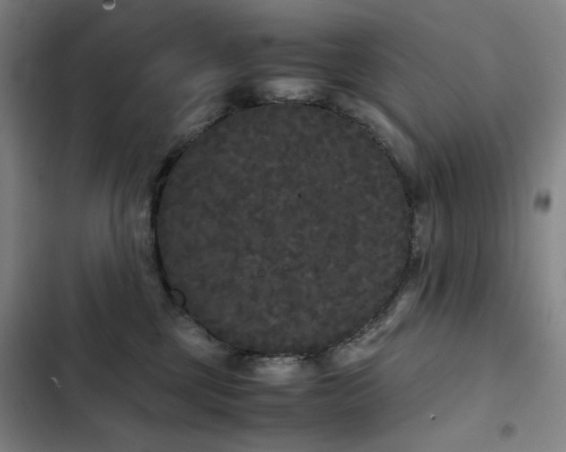 X0000103310377200808291434