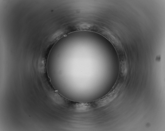 X0000103310378200808291435