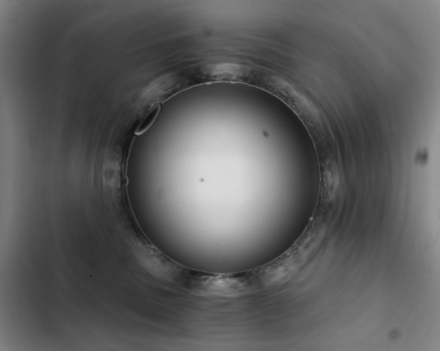 X0000103310379200808291435