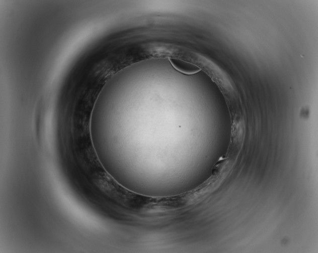 X0000103310381200808291435