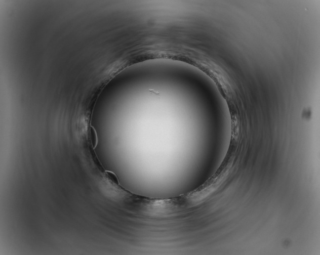 X0000103310382200808291435