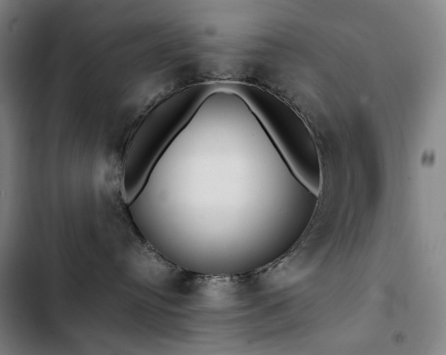 X0000103310384200808291435