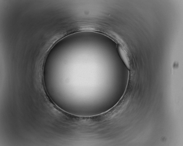 X0000103310385200808291434