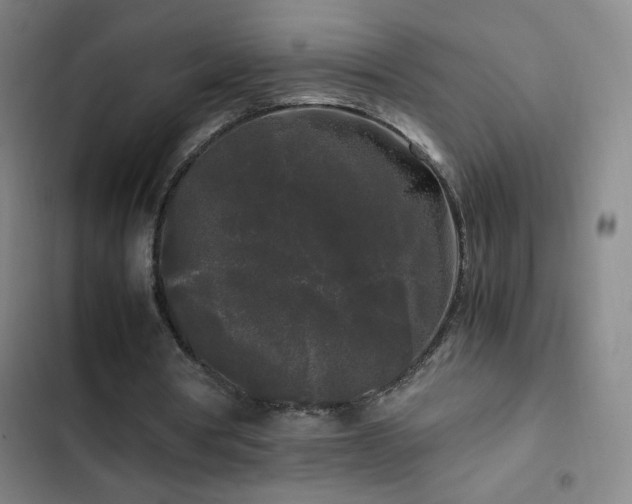 X0000103310386200808291434