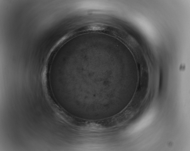 X0000103310387200808291434