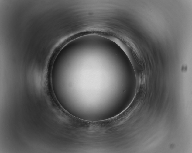 X0000103310388200808291434