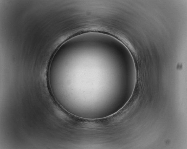 X0000103310389200808291434