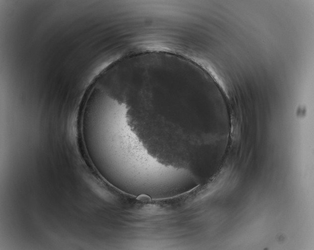 X0000103310390200808291434