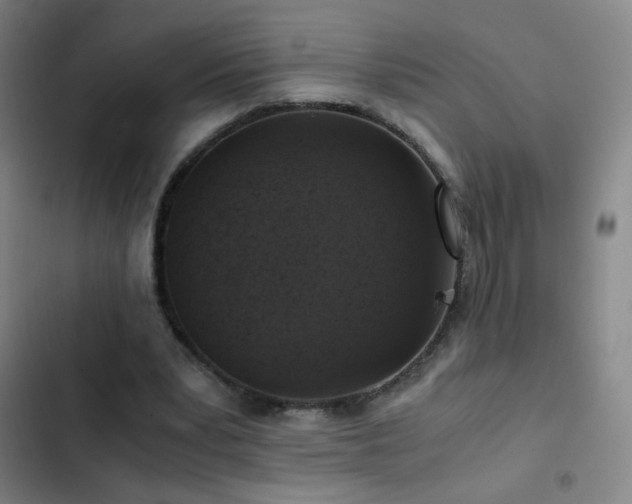 X0000103310391200808291434