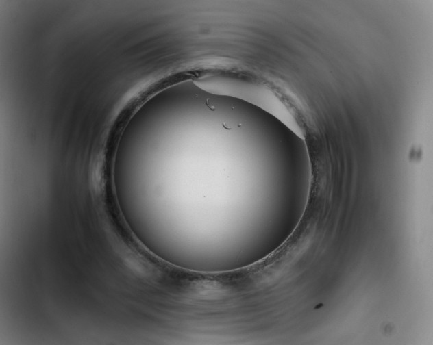 X0000103310392200808291434