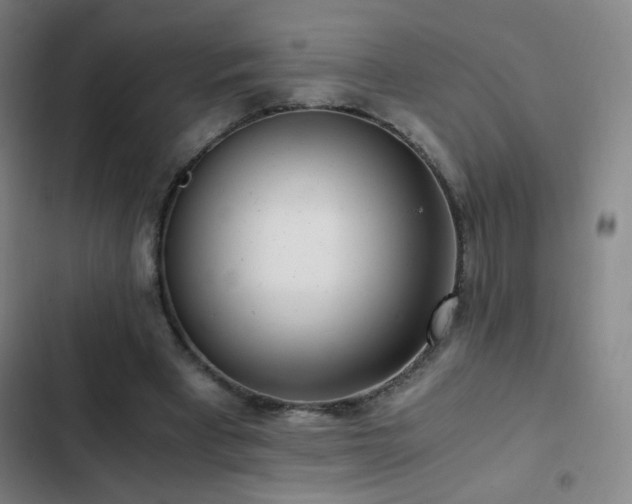 X0000103310393200808291433