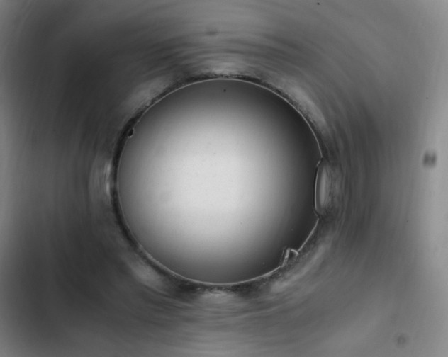 X0000103310397200808291433