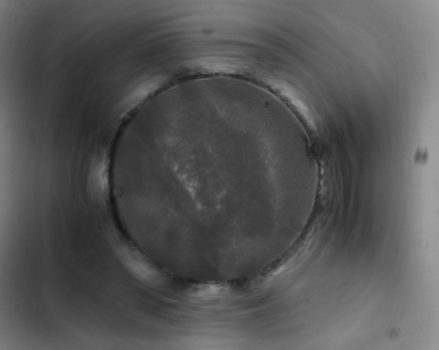 X0000103310398200808291433