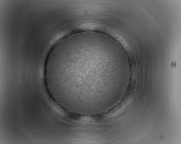 X0000103310399200808291433