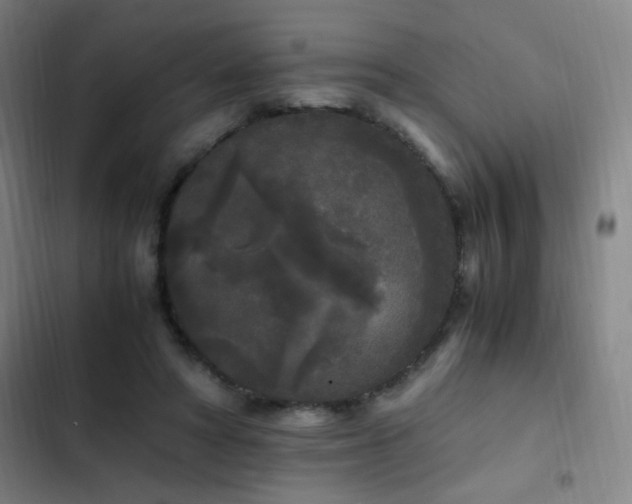 X0000103310402200808291433