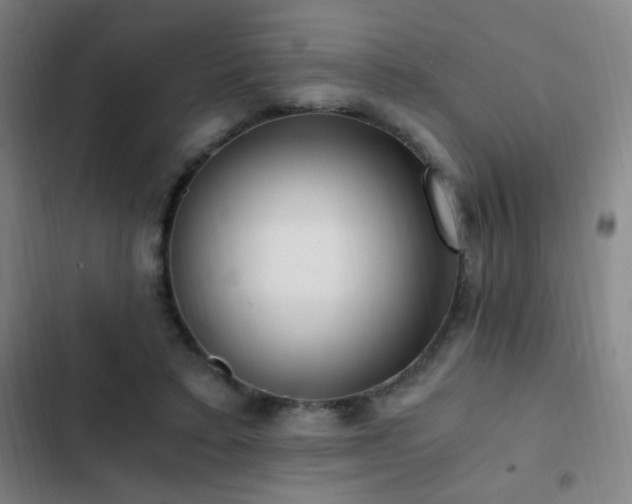 X0000103310403200808291433