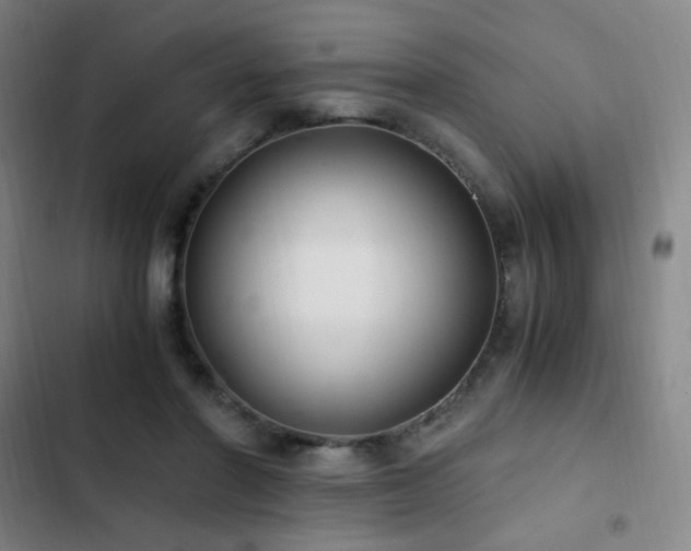 X0000103310406200808291433