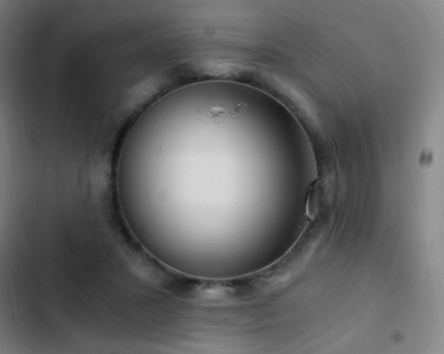 X0000103310407200808291433