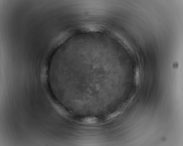 X0000103310410200808291433