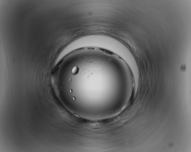 X0000103310411200808291433