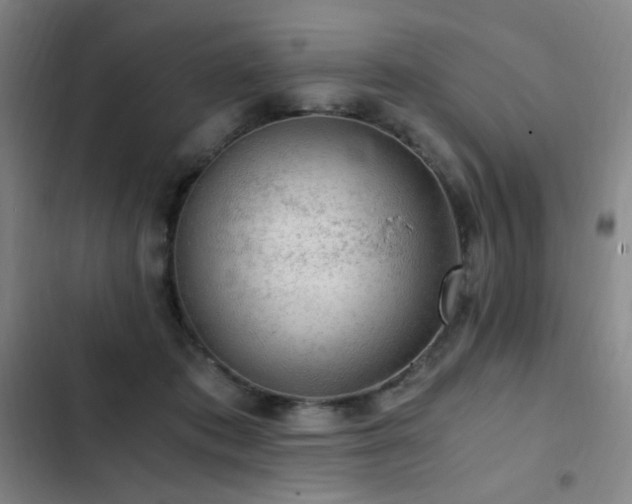 X0000103310413200808291433