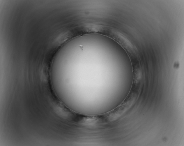 X0000103310414200808291433